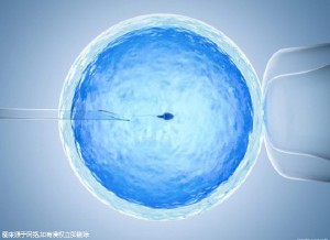 胚胎学家